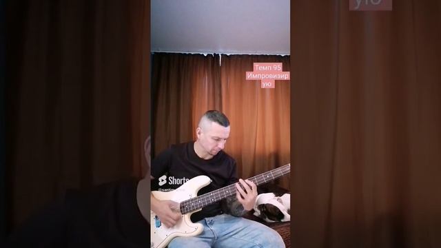 импровизация на бас гитаре #бас #басгитара #bassguitar #bass