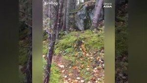 Сильные Молнии и Ураганы