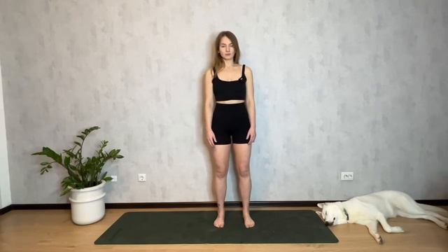 Практика заземления смотреть онлайн