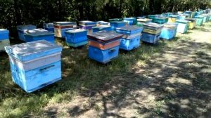 Установил магазины (корпуса на 145 рамку)