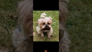 семья анука давайка (Эдит)