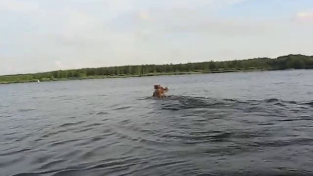 мурзюки на реке Свирь смотреть онлайн