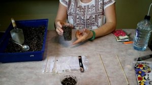 44 _Георгины из семян! 3 секрета!