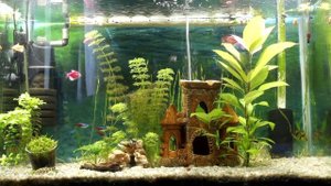 ВНИМАНИЕ САЙДЕКС и его последствия.