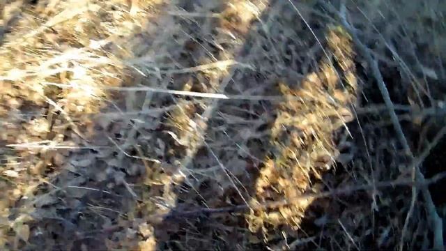 Копаю у дороги вдоль посадки смотреть онлайн