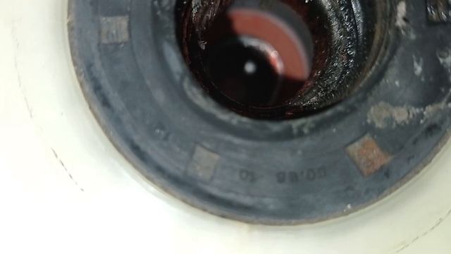 Samsung WF1590NFU Сальник 31,50/55 10/12 смотреть онлайн