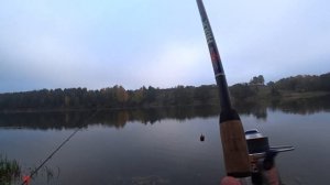 РЫБАЛКА НА НЕМАНЕ||ОКТЯБРЬ 2020