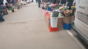 Цветы к 8 марта цветочный рынок Краснодар 6 03 22 г