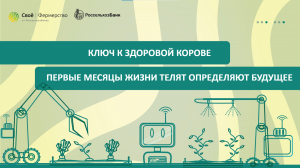 Ключ к здоровой корове: первые месяцы жизни телят определяют будущее