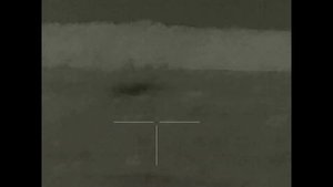 Сравнение тепловизионных прицелов iRay Rico RL42 /iRay Rico RL50.       7 лис на вечерней прогулке.