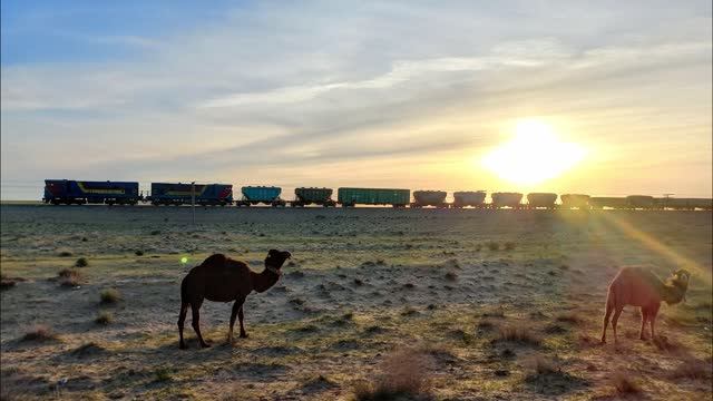 Казахстан Узбекистан 2022 1-серия