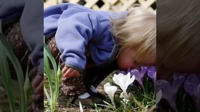 «19 апреля - День подснежника» смотреть онлайн