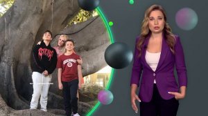 Бритни и дети: почему сыновья Спирс отказываются с ней видеться