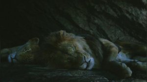 Сравнение: Муфаса показывает Симбе территорию,Король лев 1994/2019