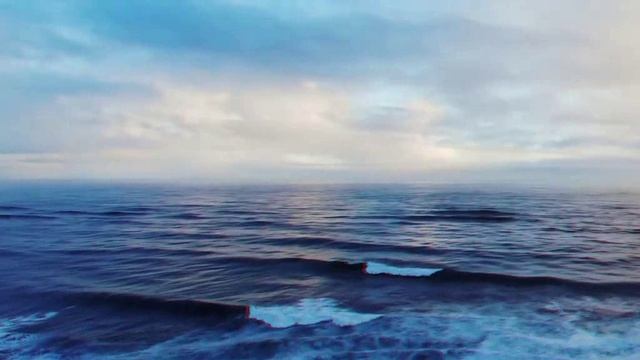 нет политике!