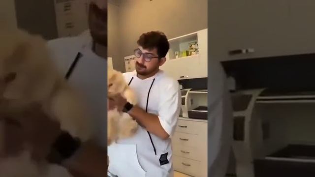 Кошачий мир ✌? такие милые они