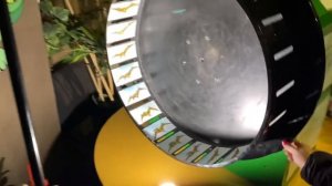 ПЛАНЕТА ДИНОЗАВРОВ в СПБ / СТОИТ ЛИ ИДТИ ИЛИ МОЖНО ОСТАТЬСЯ ДОМА?!