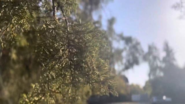 МАЙКОП | ИДЕАЛЬНЫЙ ГОРОД ДЛЯ ЖИЗНИ~сердце республики Адыгея~Лаго-Наки и термальные источники! смотреть онлайн