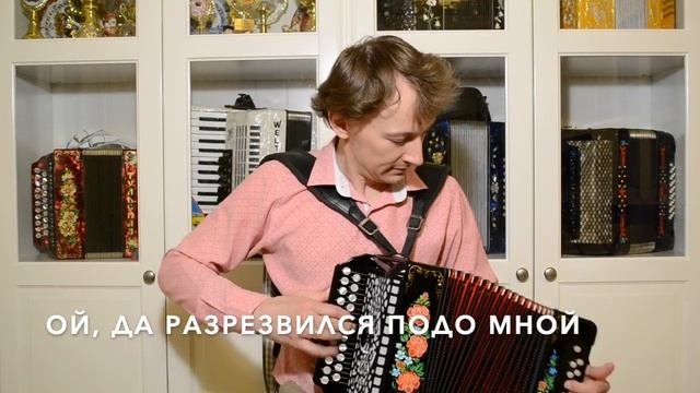 Хочешь купить лучшую уменьшенную гармонь? Пожалуйста! Выбирай!