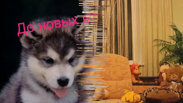 Какие фильмы советую посмотреть