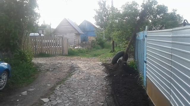 Глухарь?Тетерев?Дятел!! ))) смотреть онлайн