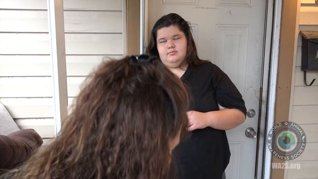 Caught On Camera!!! Dog Abandoned by Detroit Animal Control - Hope For Dogs Like My DoDo смотреть онлайн