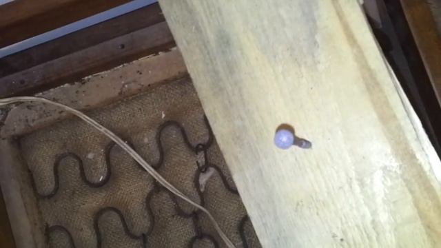 Шуруповерт Bosch 12В с доработкой для сети 220В смотреть онлайн