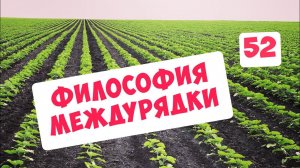 ФИЛОСОФИЯ МЕЖДУРЯДНОЙ КУЛЬТИВАЦИИ