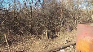 подготовка к установке забора, спил деревьев и кустарников, дачные хлопоты.