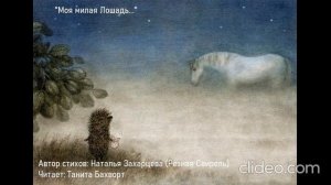 «Моя милая Лошадь, пишу тебе из тумана...»