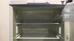 Холодильник Indesit B16NF 025