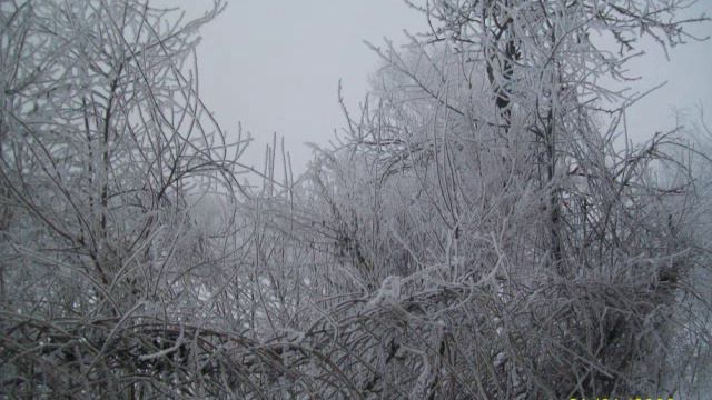 Поль Мариа Память(Memory)