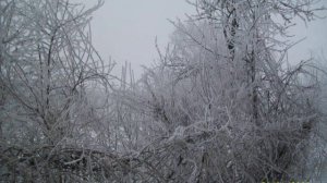 Поль Мариа Память(Memory)