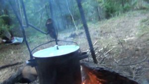 Уха на костре готовим в лесу уха рецепт ухи Рыбалка охота в поход выживание в лесу тайга природа ле