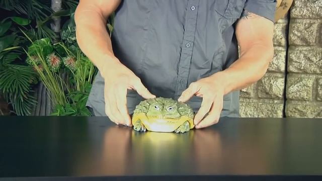 толстая и смешная смотреть онлайн