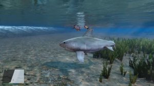 ЗЛАЯ АКУЛА ПОДКРАЛАСЬ НЕЗАМЕТНО! ЖИЗНЬ ЖИВОТНЫХ в ГТА 5 МОДЫ! ОБЗОР МОДА В GTA 5 ИГРЫ ГТА ВИДЕО MOD