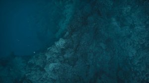 Prehistoric.Planet.S02E04.Доисторическая планета.Девид Аттенборо.