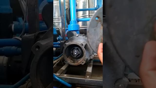 Paano tangalin ang procon pump para sa r.o membrane #procon #waterstation # r.omotor смотреть онлайн