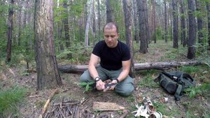 Как развести огонь без спичек