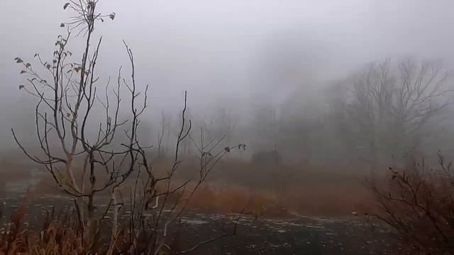 Камчатка. Открытие охоты на зайца.