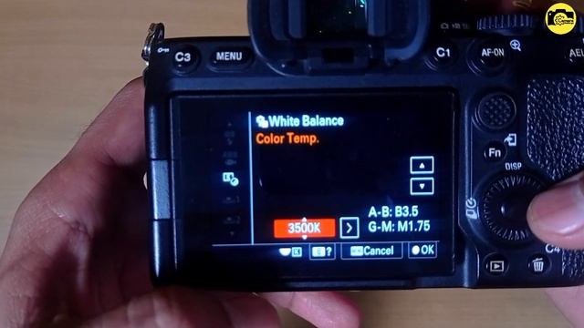 Sony a7 white balance setting | sony m4 manual settings | function key @camerasettingsCk смотреть онлайн