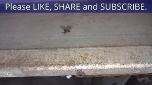 How to remove a stuck bumper if the bracket bolts break, Volvo 850, S70, V70, etc. - VOTD