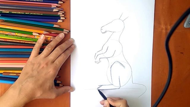 Как нарисовать кенгуру. Онлайн-школа рисования "Малевашки" смотреть онлайн