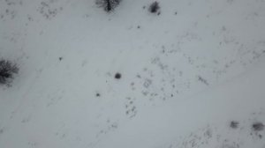 снегоход стелс викинг 800 выезд в выходные везем печку в домик