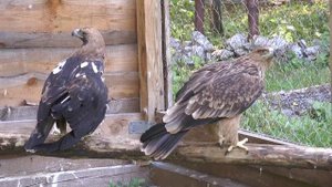 Заповедные тайны Жигулей