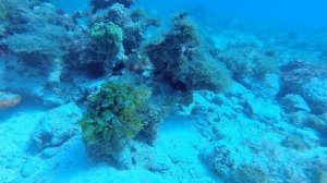 Underwater Museum, Isla Mujeres, Cancun, Mexico 2014 GoPro 3+ HD