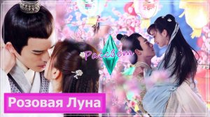 Клип на дораму Кошка из палаты по уголовным делам | I'm a Pet At Dali Temple - Рассвет MV