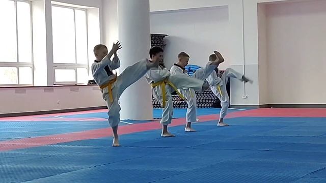Экзамен на желто-зеленый пояс Тхэквондо ВТФ