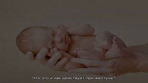 Как давать хофитол новорожденным при желтухе?
