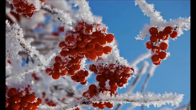 Калина красная! смотреть онлайн